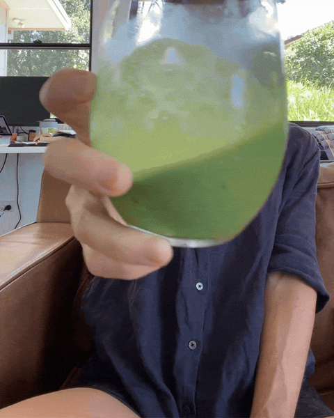 MAKE THE PERFECT ICED MATCHA